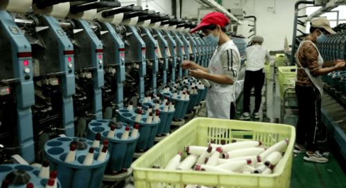 北湖區 訂單追著企業跑，服務圍著企業轉——紡織品產業的轉型與振興